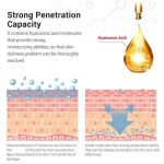 Vita A Retinol Firming Serum (Anti-Aging) - 15ml